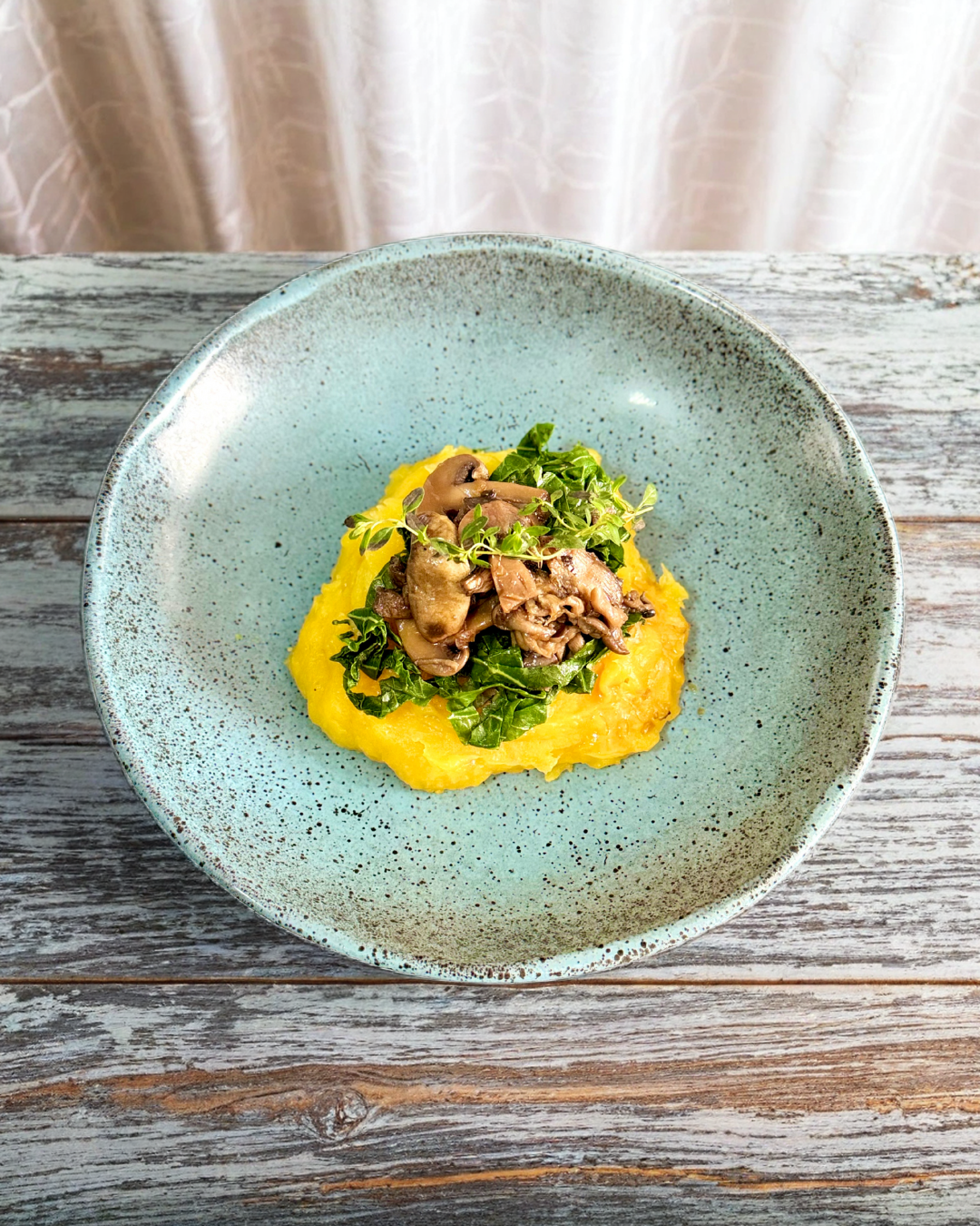 Ragú de cogumelos com creme de Baroa